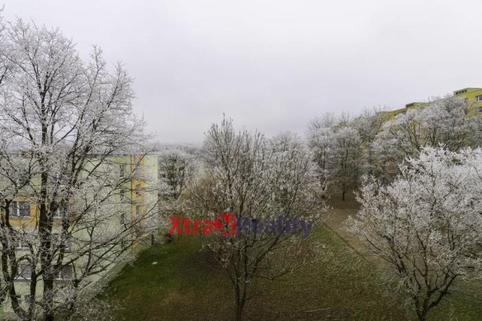 Pronájem bytu 3+1, Bílina - Teplické Předměstí, Sídliště Za Chlumem, 72 m2