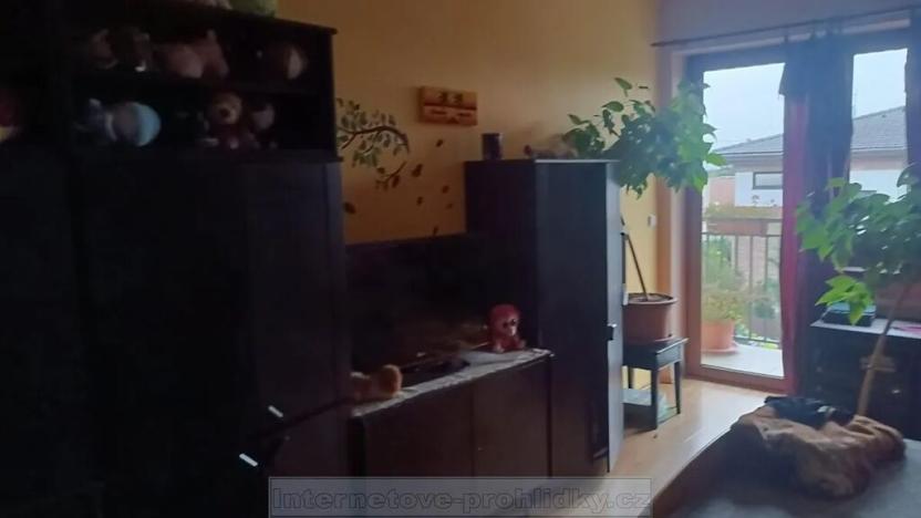 Pronájem pokoje, Praha - Hlubočepy, Högerova, 18 m2