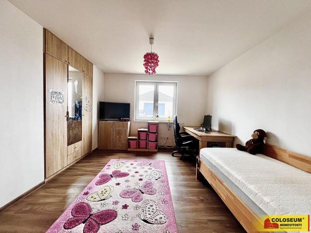 Prodej rodinného domu, Hrušovany nad Jevišovkou, 188 m2