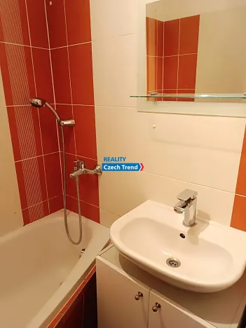 Pronájem bytu 1+1, Olomouc, Dělnická, 37 m2