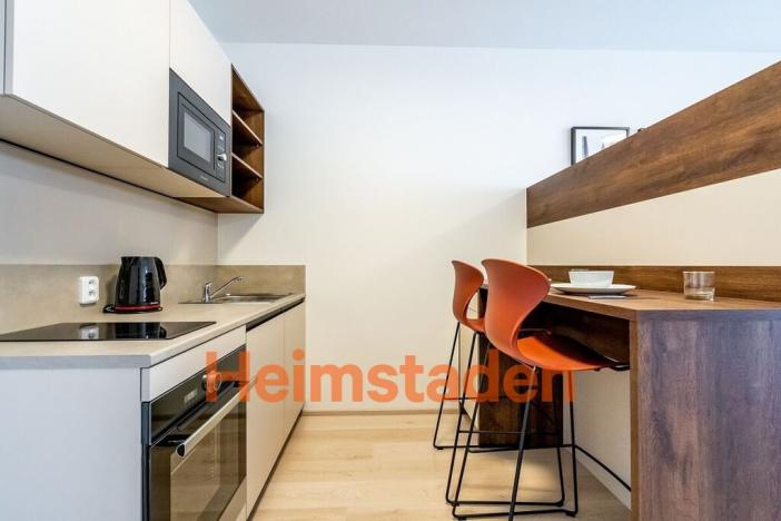 Pronájem bytu 1+kk, Plzeň - Jižní Předměstí, Magisterská, 28 m2