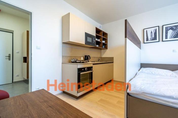 Pronájem bytu 1+kk, Plzeň - Jižní Předměstí, Magisterská, 30 m2