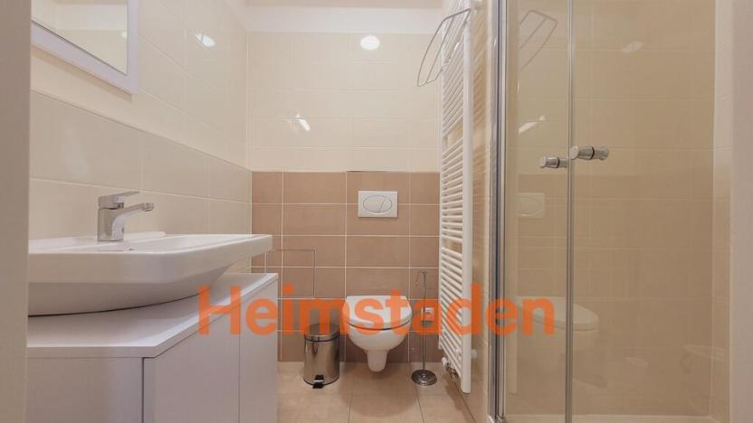 Pronájem bytu 1+kk, Plzeň - Jižní Předměstí, Magisterská, 30 m2