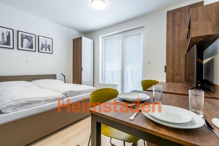 Pronájem bytu 1+kk, Plzeň - Jižní Předměstí, Magisterská, 30 m2