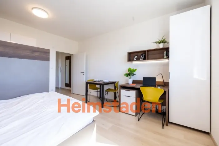 Pronájem bytu 1+kk, Plzeň - Jižní Předměstí, Magisterská, 30 m2