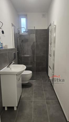 Pronájem bytu 2+kk, Opava - Předměstí, Palackého, 61 m2