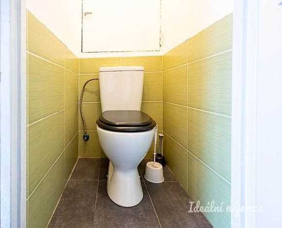 Pronájem bytu 1+kk, Praha - Záběhlice, Topolová, 30 m2