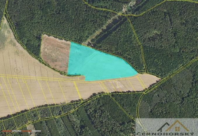 Prodej pole, Krušovice, 68643 m2
