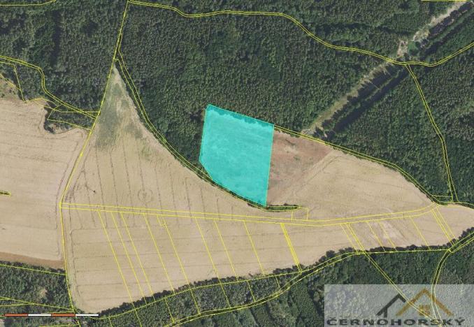 Prodej pole, Krušovice, 68643 m2