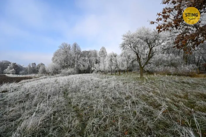 Prodej rodinného domu, Dětřichov u Moravské Třebové, 300 m2