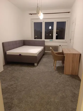 Pronájem bytu 1+kk, Brno, Hoblíkova, 23 m2