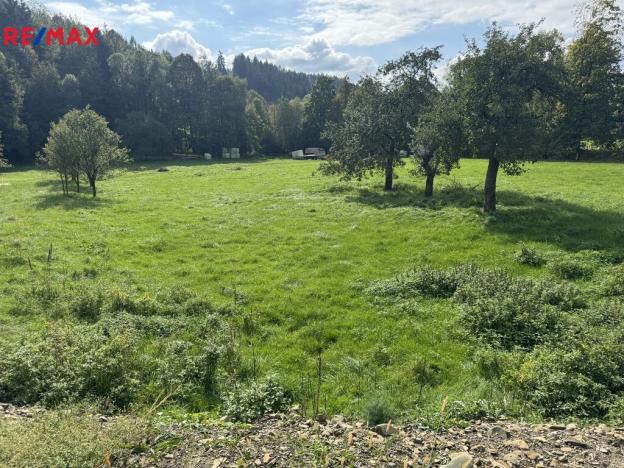 Prodej pozemku pro bydlení, Nový Hrozenkov, 4827 m2