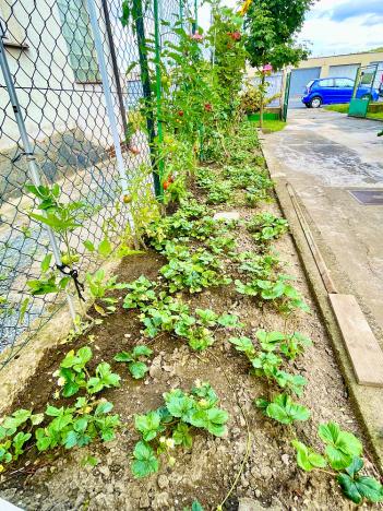 Prodej rodinného domu, Plzeň - Božkov, Velenická, 127 m2