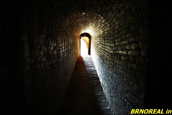 Prodej vícegeneračního domu, Staré Město pod Landštejnem, 1150 m2