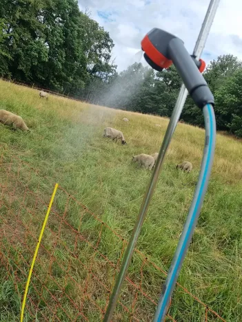 Prodej komerčního pozemku, Heřmaničky, 19000 m2