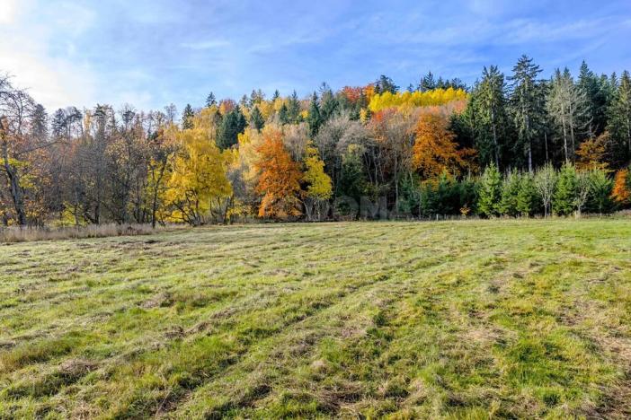 Prodej pozemku pro bydlení, Konstantinovy Lázně, 1196 m2