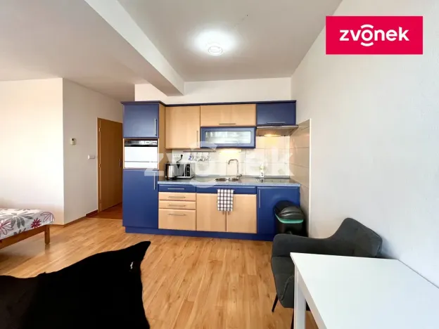 Pronájem bytu 1+kk, Zlín, Voženílkova, 30 m2