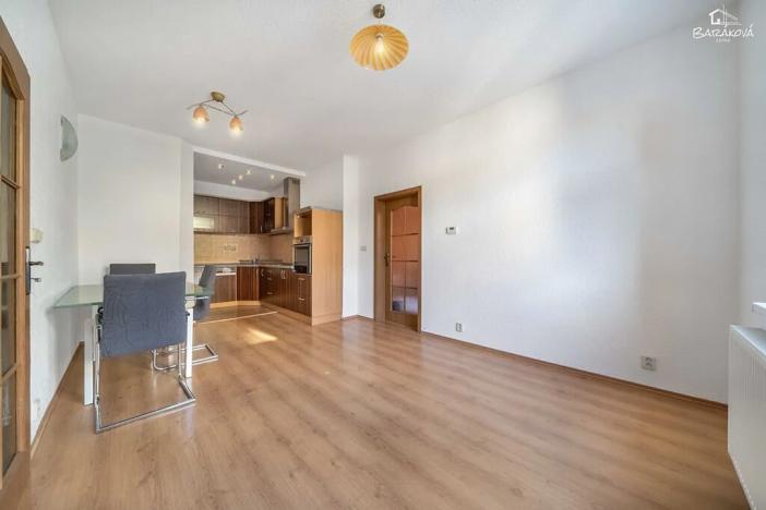 Pronájem bytu 2+kk, Plzeň, Vrchlického, 46 m2