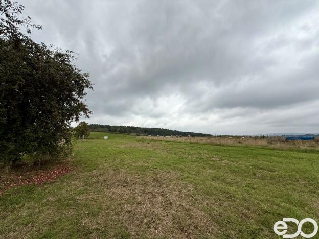 Prodej pozemku pro bydlení, Přílepy, 1080 m2