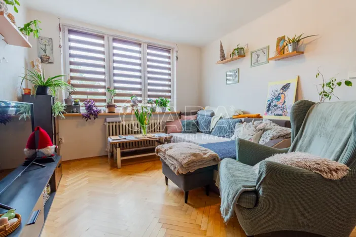 Prodej bytu 2+1, Písek - Budějovické Předměstí, Budějovická, 51 m2