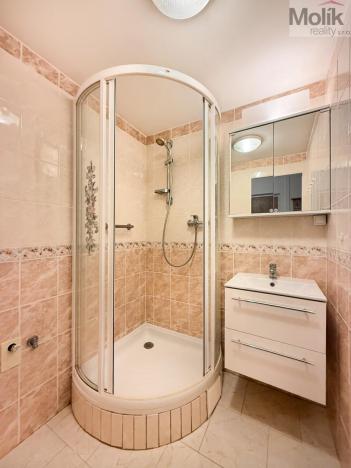 Pronájem bytu 2+1, Duchcov, Vrchlického, 52 m2