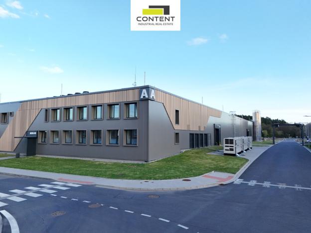 Pronájem výrobních prostor, Tachov - Oldřichov, 14074 m2