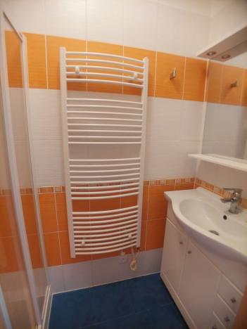 Pronájem bytu 1+1, Tábor, 9. května, 47 m2