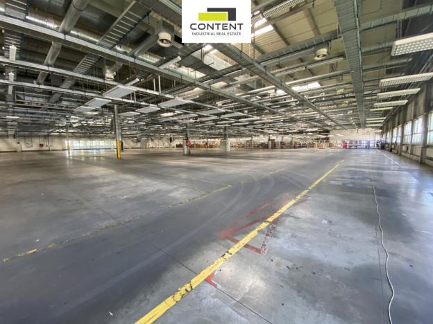 Pronájem výrobních prostor, Plzeň - Skvrňany, U Nové Hospody, 3820 m2