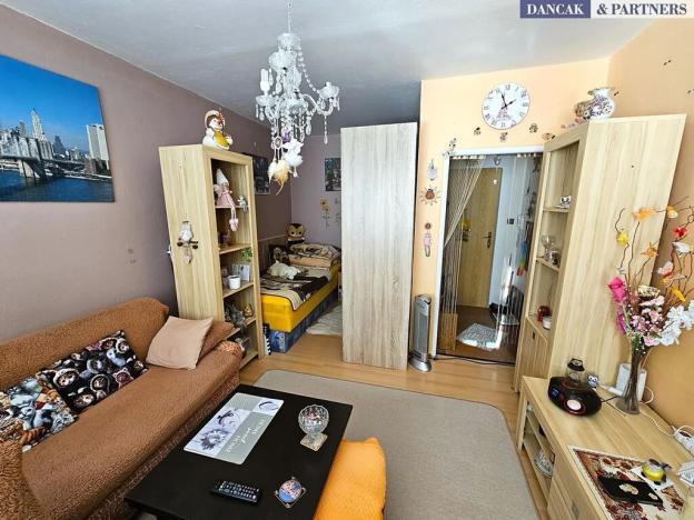 Pronájem bytu 1+kk, Frýdek-Místek, K Hájku, 26 m2