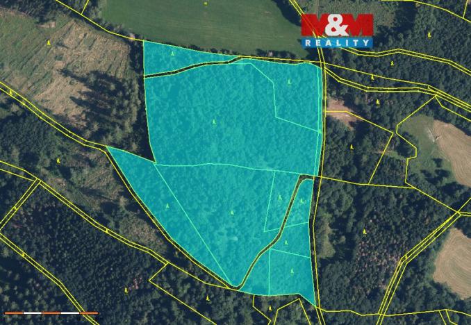 Prodej lesa, Bratrušov, 19245 m2