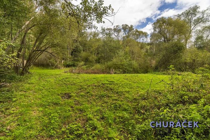 Prodej pozemku pro bydlení, Kácov, 16220 m2