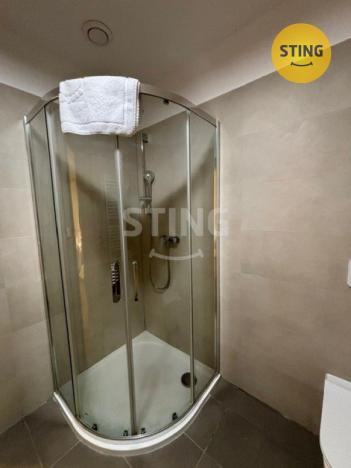 Pronájem bytu 1+kk, Ostrava - Moravská Ostrava, S. K. Neumanna, 30 m2