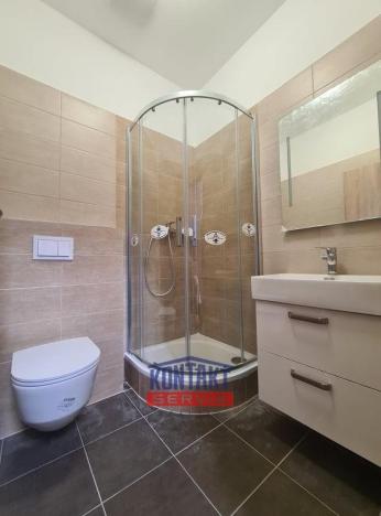 Pronájem bytu 2+kk, České Budějovice - České Budějovice 3, 45 m2