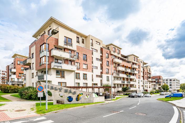 Pronájem bytu 3+kk, Praha - Dolní Měcholupy, Kryšpínova, 84 m2