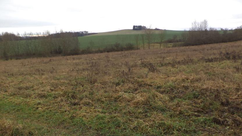 Prodej pozemku, Srby, 1445 m2