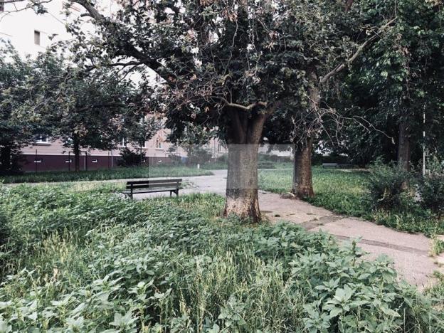 Pronájem bytu 1+1, Brno, Hoppova, 22 m2