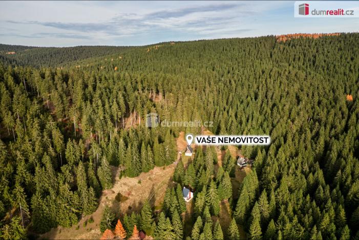 Prodej chalupy, Nové Hamry, 100 m2