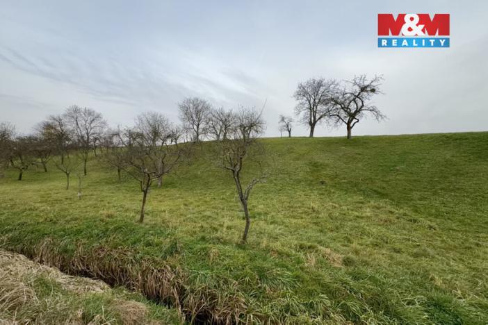 Prodej zahrady, Bezuchov, 901 m2