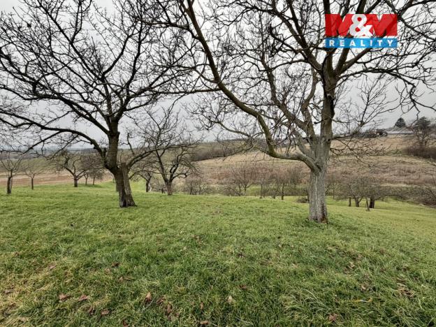 Prodej zahrady, Bezuchov, 901 m2