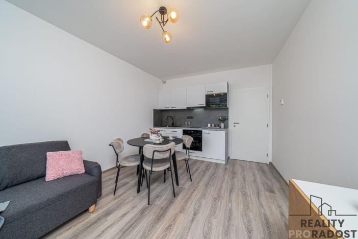 Pronájem bytu 1+kk, Olomouc, Frištenského, 32 m2