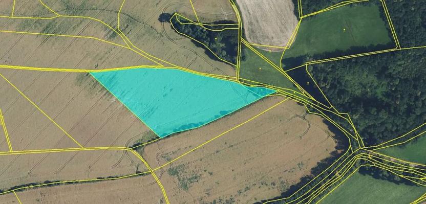 Prodej pole, Horky, 59562 m2