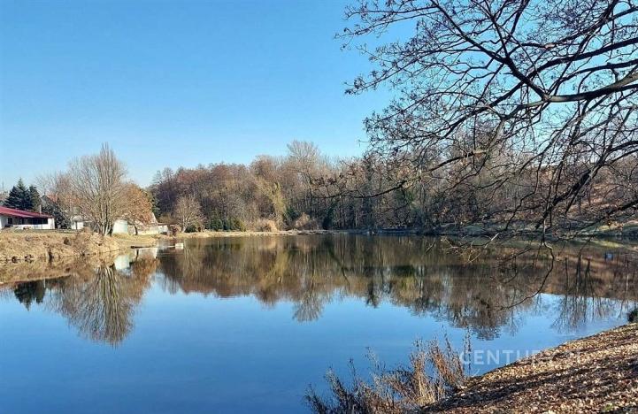 Pronájem bytu 2+kk, Praha, Bohdanečská, 47 m2