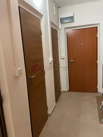 Pronájem bytu 1+1, Olomouc, Stupkova, 35 m2