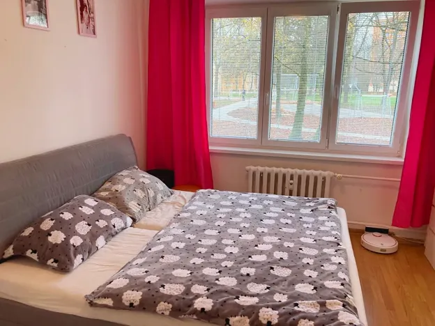 Pronájem bytu 3+1, Ostrava, Svojsíkova, 74 m2