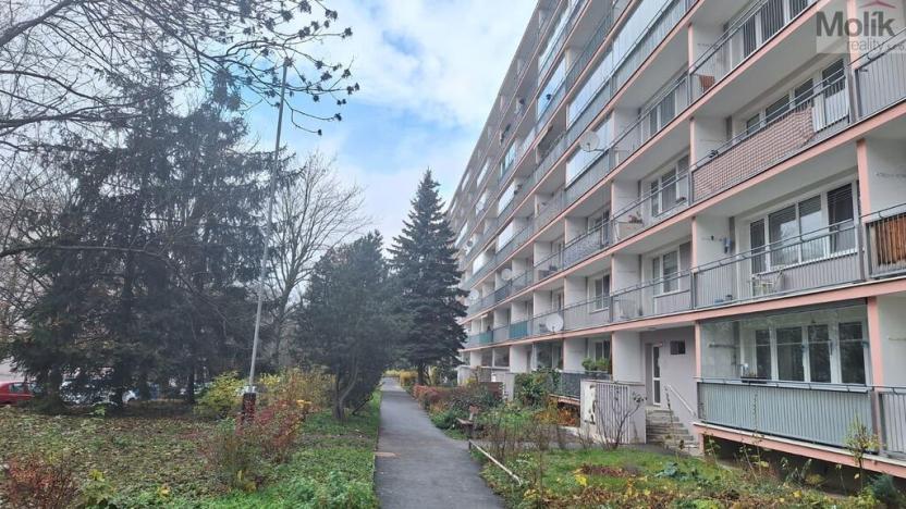 Prodej bytu 2+kk, Teplice - Trnovany, Trnovanská, 44 m2