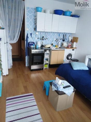 Prodej bytu 1+kk, Most, U Věžových domů, 21 m2