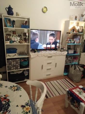 Prodej bytu 1+kk, Most, U Věžových domů, 21 m2