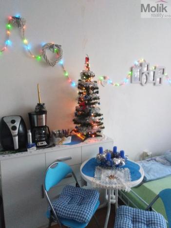 Prodej bytu 1+kk, Most, U Věžových domů, 21 m2