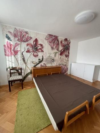 Pronájem bytu 3+1, České Budějovice, Čechova, 68 m2