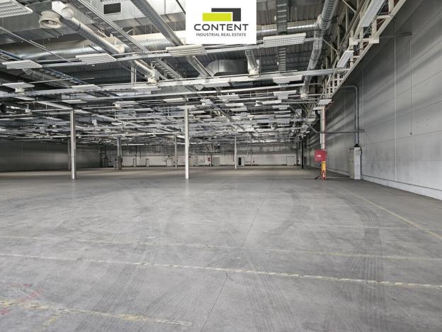 Pronájem skladu, Plzeň - Skvrňany, U Nové Hospody, 1000 m2